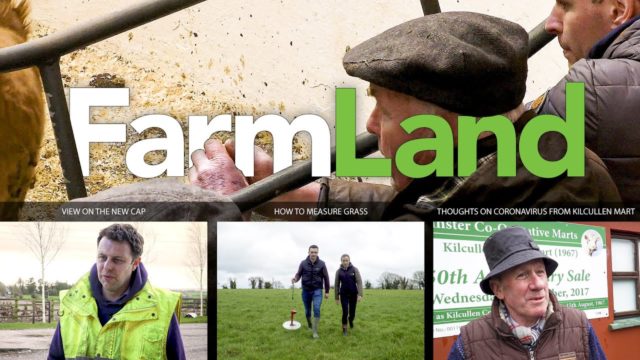 FarmLand 12th March 2020