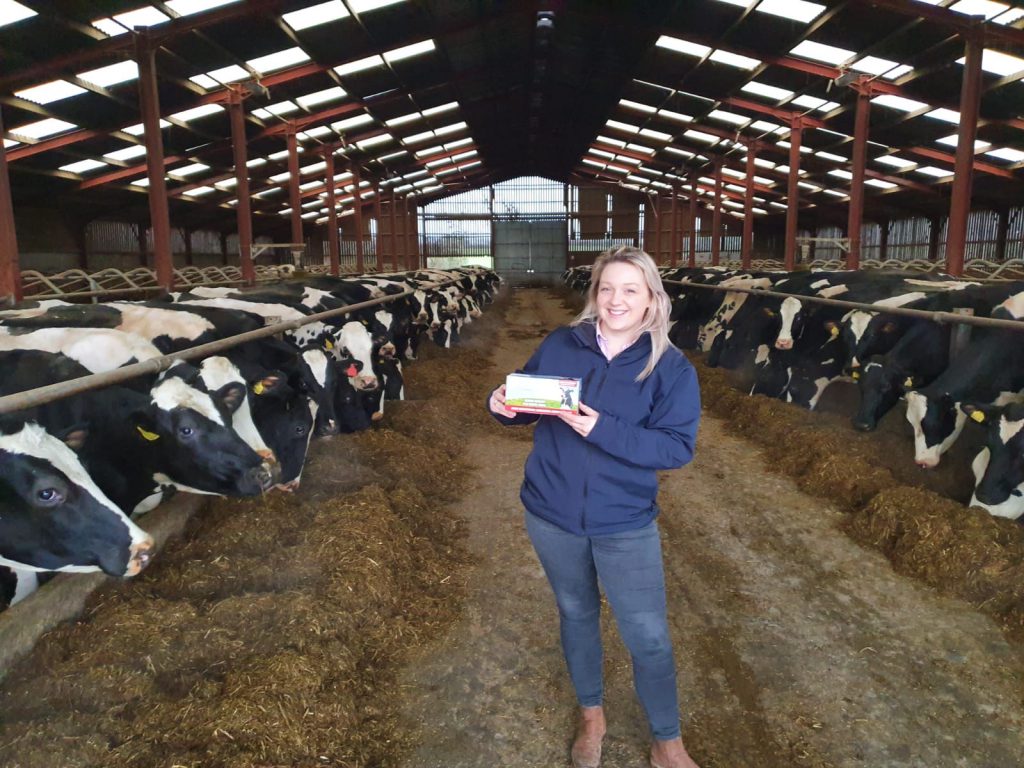 Cheshire dairy producer's calving season tightens with novel feed