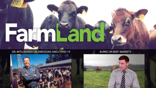FARMLAND: 9th April 2020