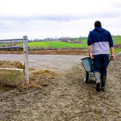 IFA family Farm young Farmer generational renewal Finance