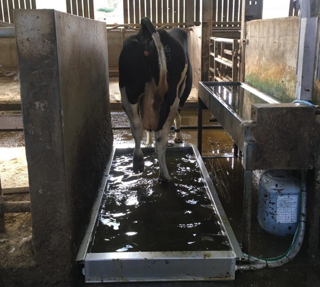 Win an automatic footbath from Efficient Farm Systems Agriland.ie