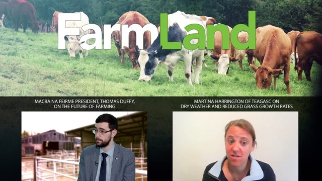 FarmLand 4th June 2020