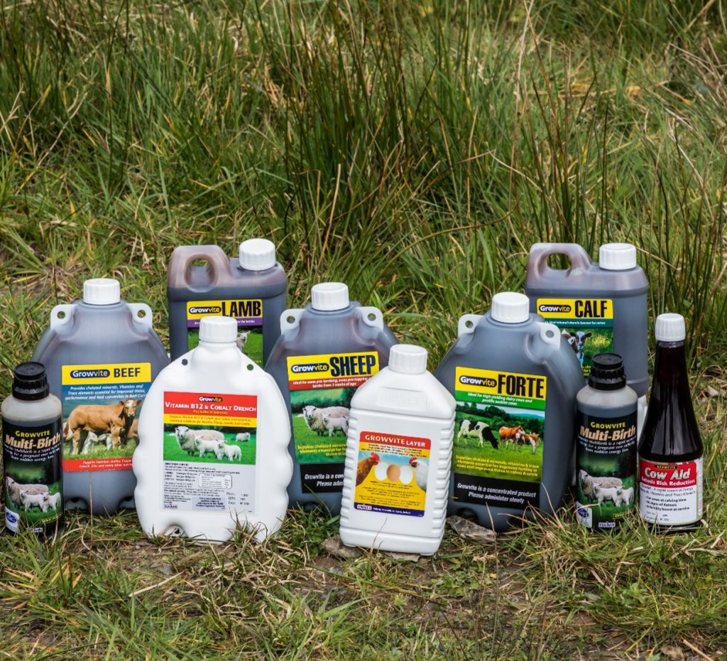 The importance of minerals and vitamins in animal supplementation