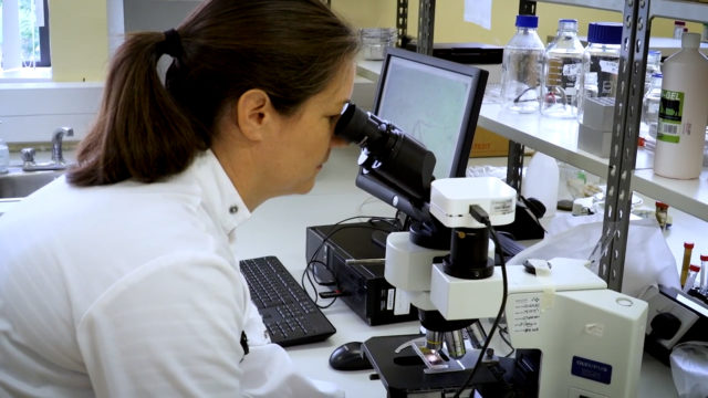 Advice for beef farmers from Orla Keane - a Teagasc researcher- Beef Week 2020