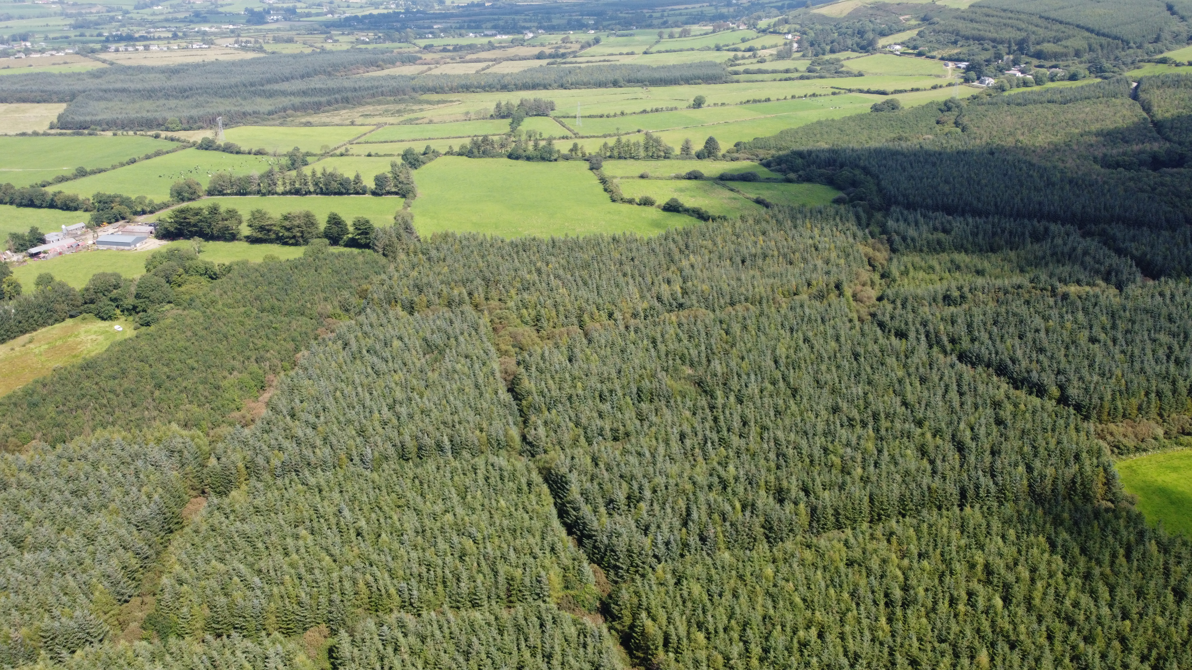 Commercial forest with 'significant volume of maturing timber' on the ...