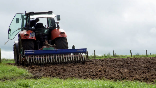 Virtual Farm Walk: Reseeding at Martin Connolly's farm- Calf to Beef