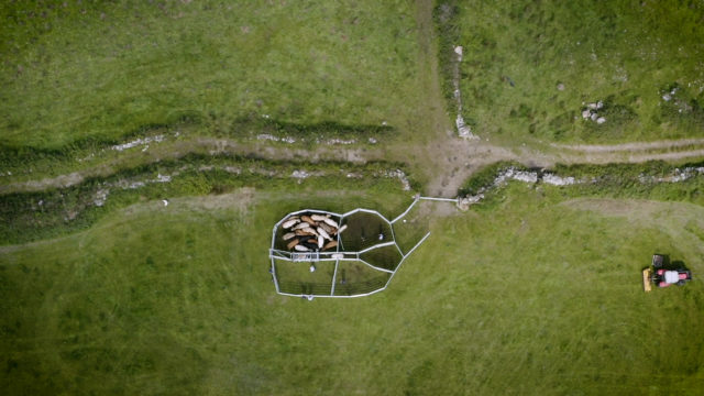 Clipex HDX1100 Series Cattle Crush