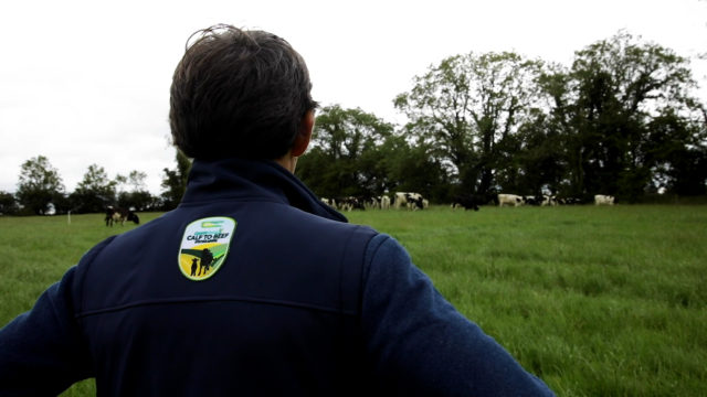 Virtual Farm Walk: Calf health, feeding and vaccination- On the farm of Martin Connolly Co. Roscommon