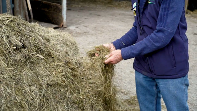Virtual Farm Walk: Silage harvesting and quality- Calf to Beef Programme
