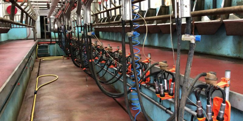 Increase to November milk price 'warranted on its own right' - Vimarsana News