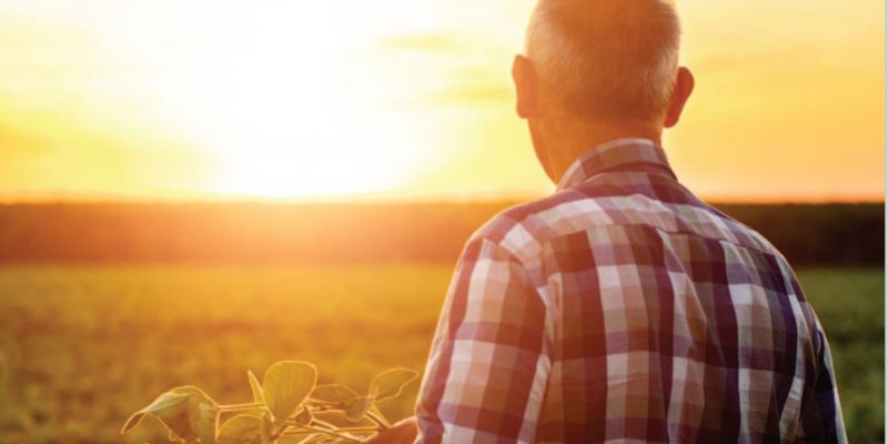 Rural isolation: 'They have the farm...but there is no company on the land' - Vimarsana News