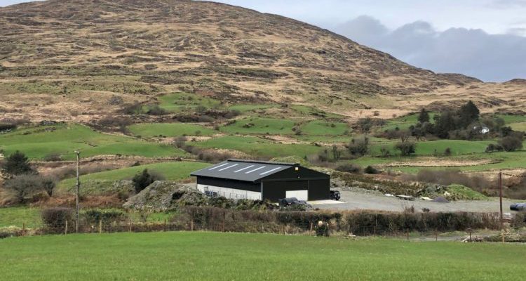 Back In Focus: A brand new 5-bay slatted unit with a lie-back area and crush in Co. Cork - Vimarsana News