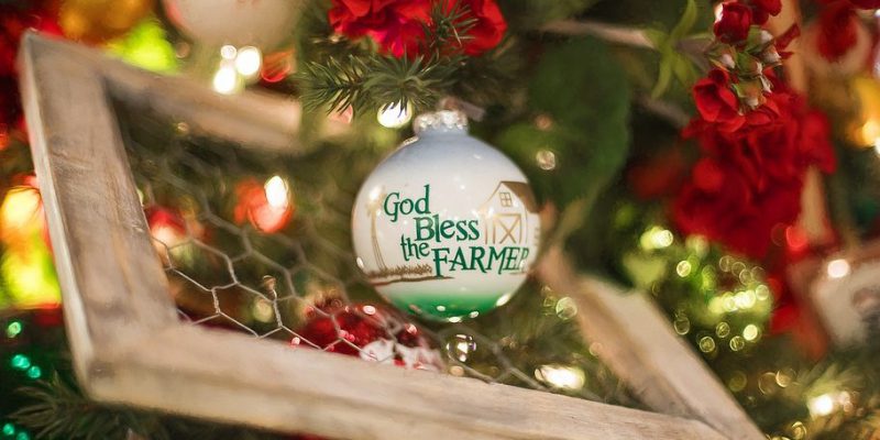 AgriLand's ultimate Christmas gift guide - Vimarsana News