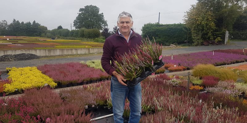 Nursery owner says jobs at risk in horticulture industry - Vimarsana News