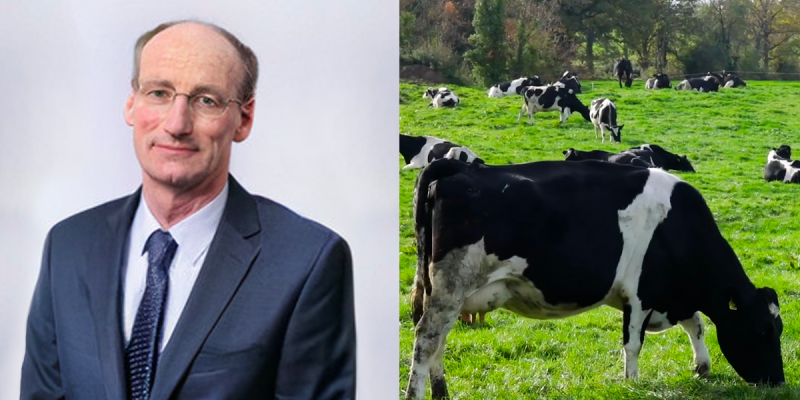 Phelan nominated to board of Glanbia Co-op - Vimarsana News