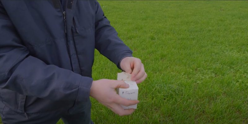 Efficient use of fertiliser: Getting up to speed with the paddocks on your farm - Vimarsana News