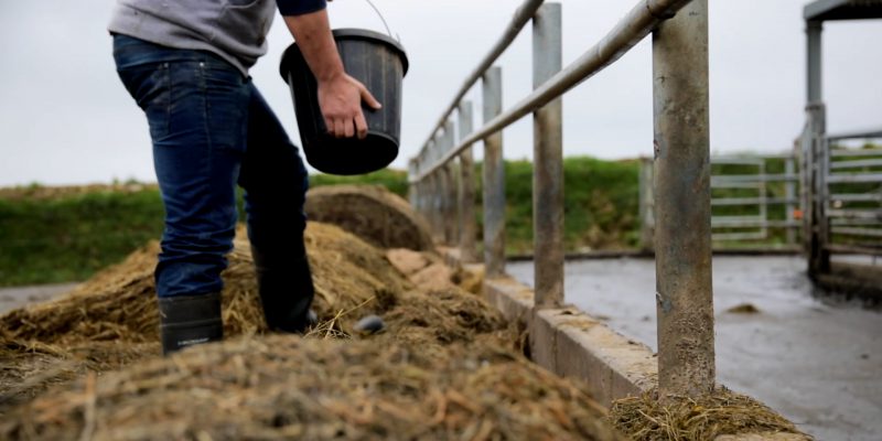 Acceleration of remote working for off-farm income 'will help viability of small farms' - Vimarsana News