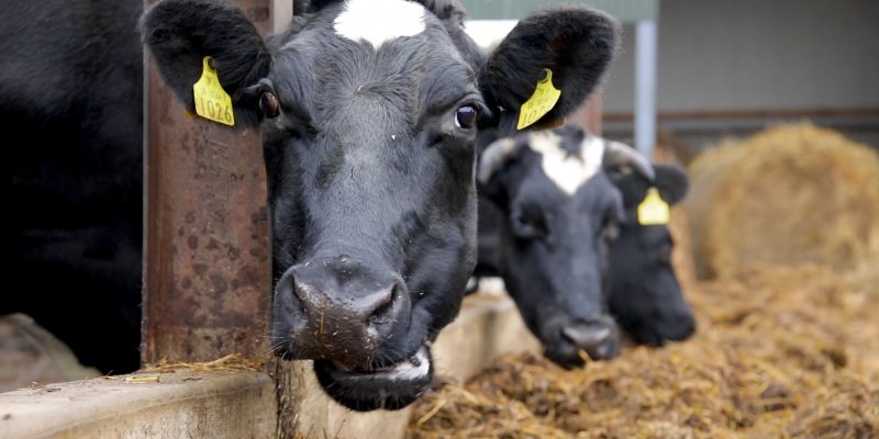 New £12 million fund aims to boost investment in UK agriculture - Vimarsana News