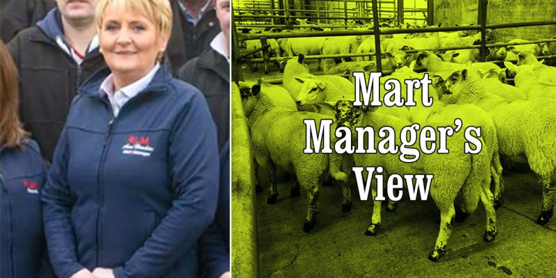 'It's not often you see lambs making €215/head that are going to the butcher' - Vimarsana News