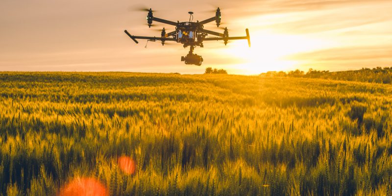 Role of digital in securing green rural economy to go under spotlight - Vimarsana News
