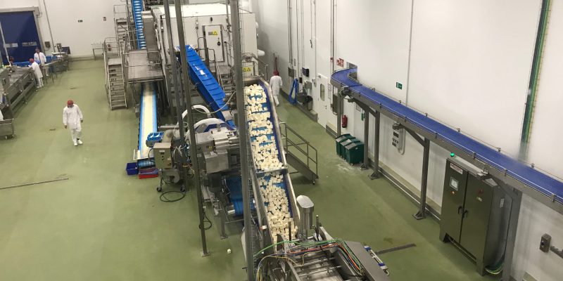 6 areas of attention for dairy industry following 'stellar' 2020 performance - Vimarsana News