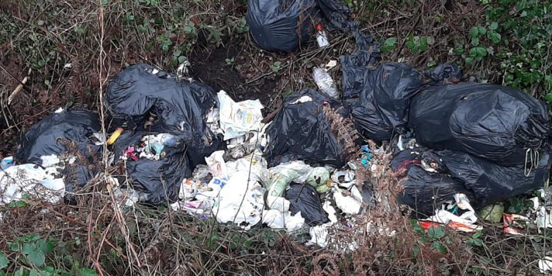 'The whole legislation around illegal dumping is way too soft' - Vimarsana News
