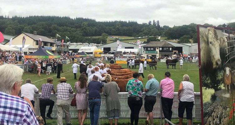 Royal Welsh Agricultural Show cancelled for 2021 - Vimarsana News