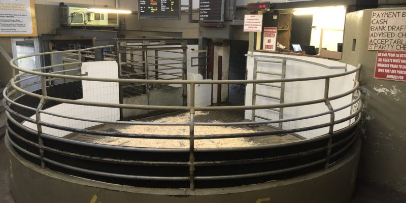 Mart status: Update on what marts are open and when opening sales are taking place - Vimarsana News