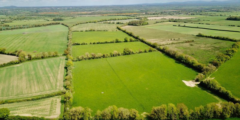 93ac in Kildare guiding at €12,000/ac, with 'Fontstown' series soil - Vimarsana News