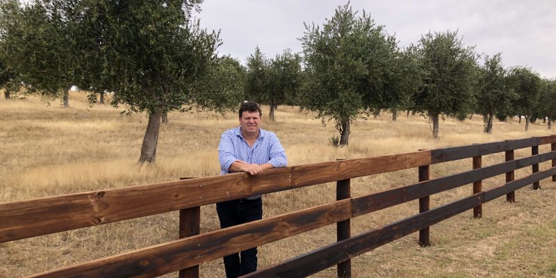 Devenish to expand business into Australia - Vimarsana News
