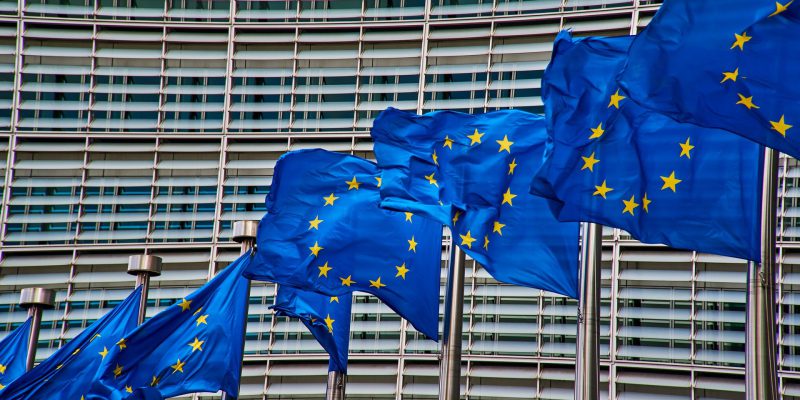An Taisce lodges formal legal complaint about Food Wise 2025 with EU Commission - Vimarsana News