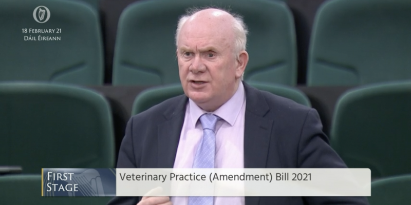 Amendment bill to confine ownership of vet practices to practitioners brought forward - Vimarsana News