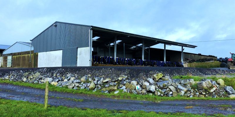 Buildings Focus: Tying in a new cubicle shed with 2 existing sheds to create 84 cubicles - Vimarsana News