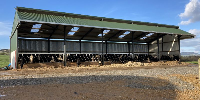 Buildings Focus: New 5-bay slatted unit for an expanding beef finishing enterprise - Vimarsana News