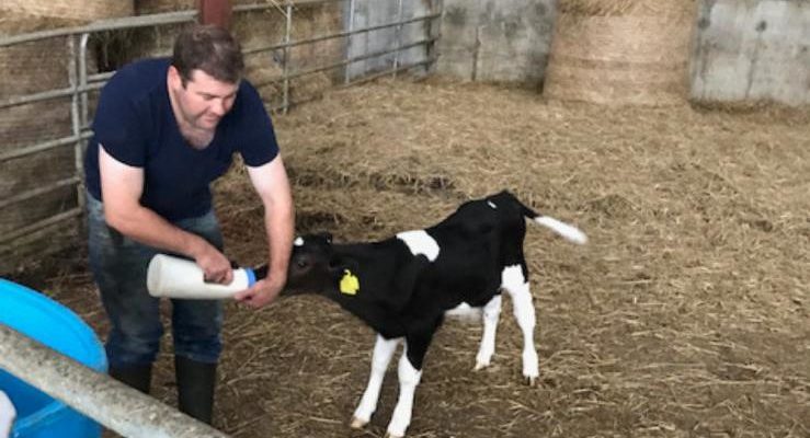 'John was an inspiration': 'Donate a calf' fundraiser for palliative care taking place at Listowel Mart - Vimarsana News