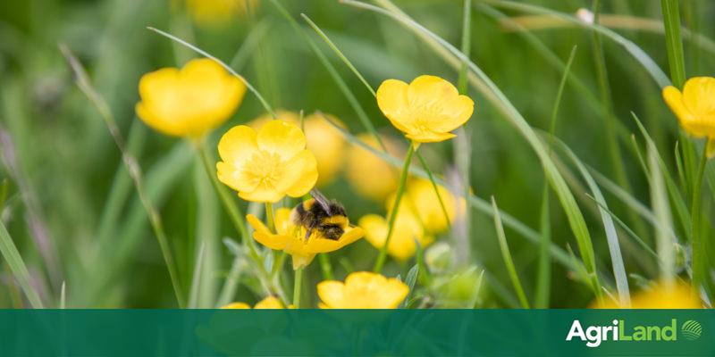 Slight increase in pesticide exceedances in drinking water supplies in 2020 - Vimarsana News