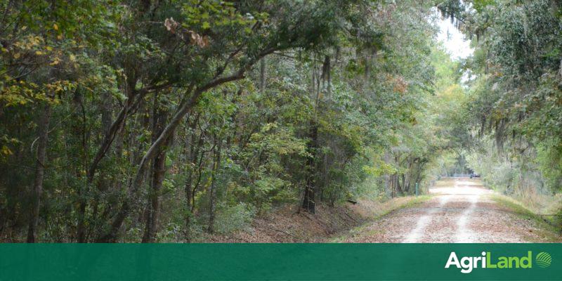 €6.5 million funding announced for 38 rural outdoor projects - Vimarsana News
