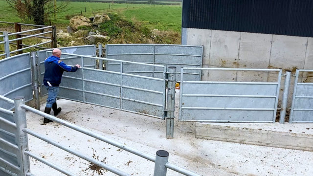 Loose shed and a first-class handling facility in Co. Tipperary