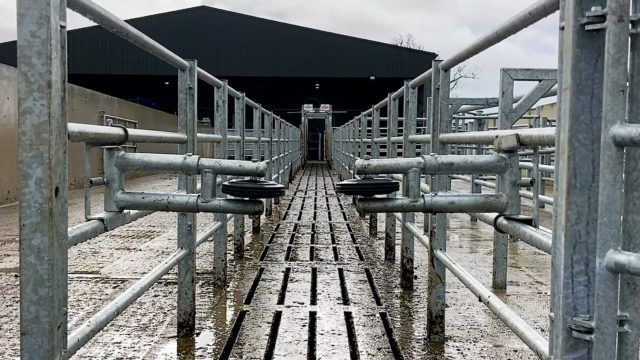 New 50 bail rotary parlour at Salesian Agricultural College