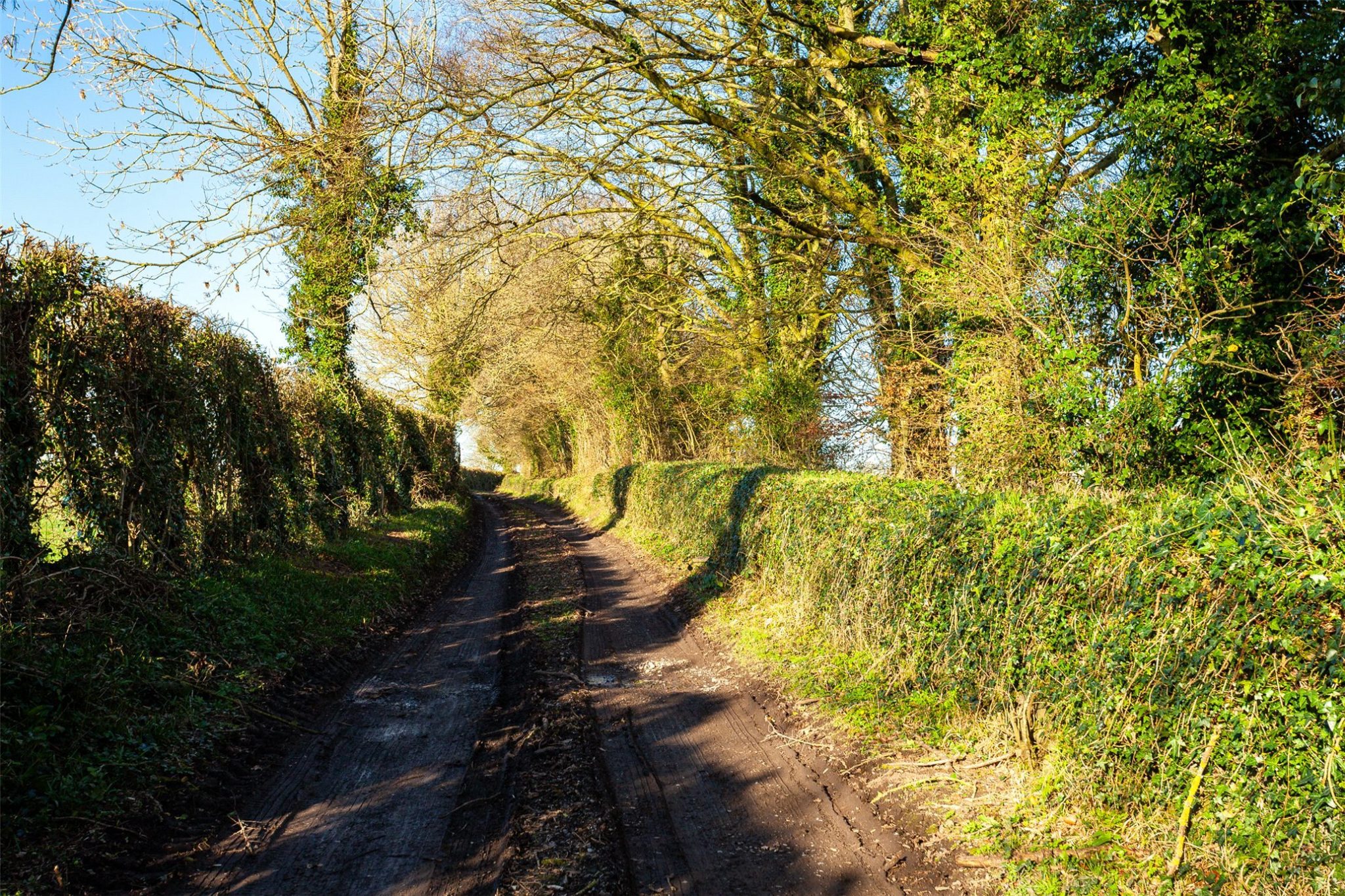Photos €950,000 Co. Kildare agricultural land up for auction Agriland.ie
