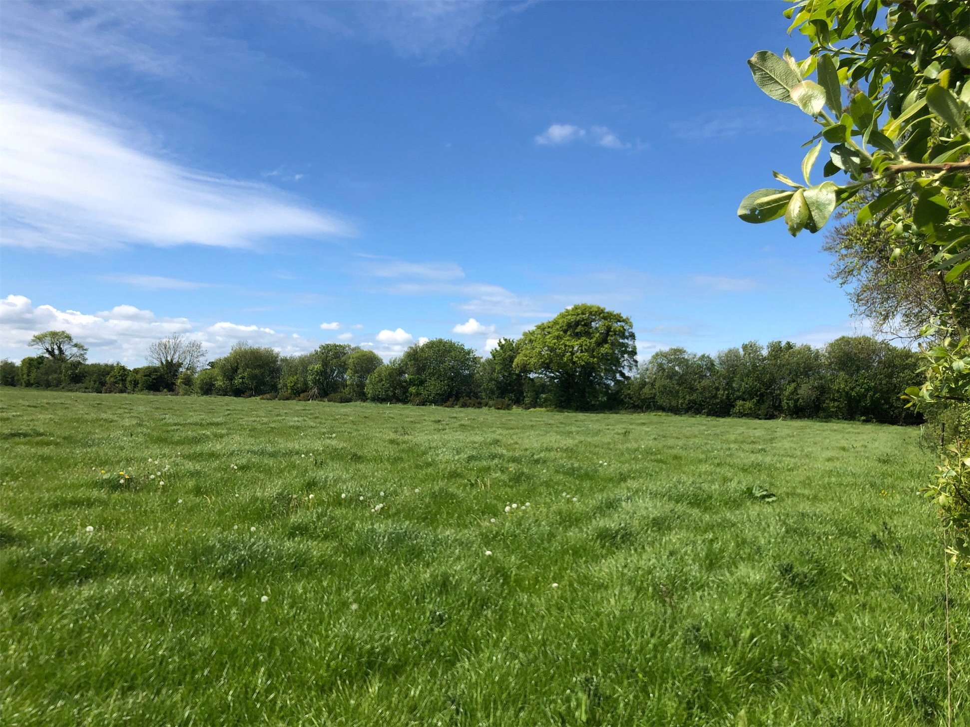 Photos €950,000 Co. Kildare agricultural land up for auction Agriland.ie