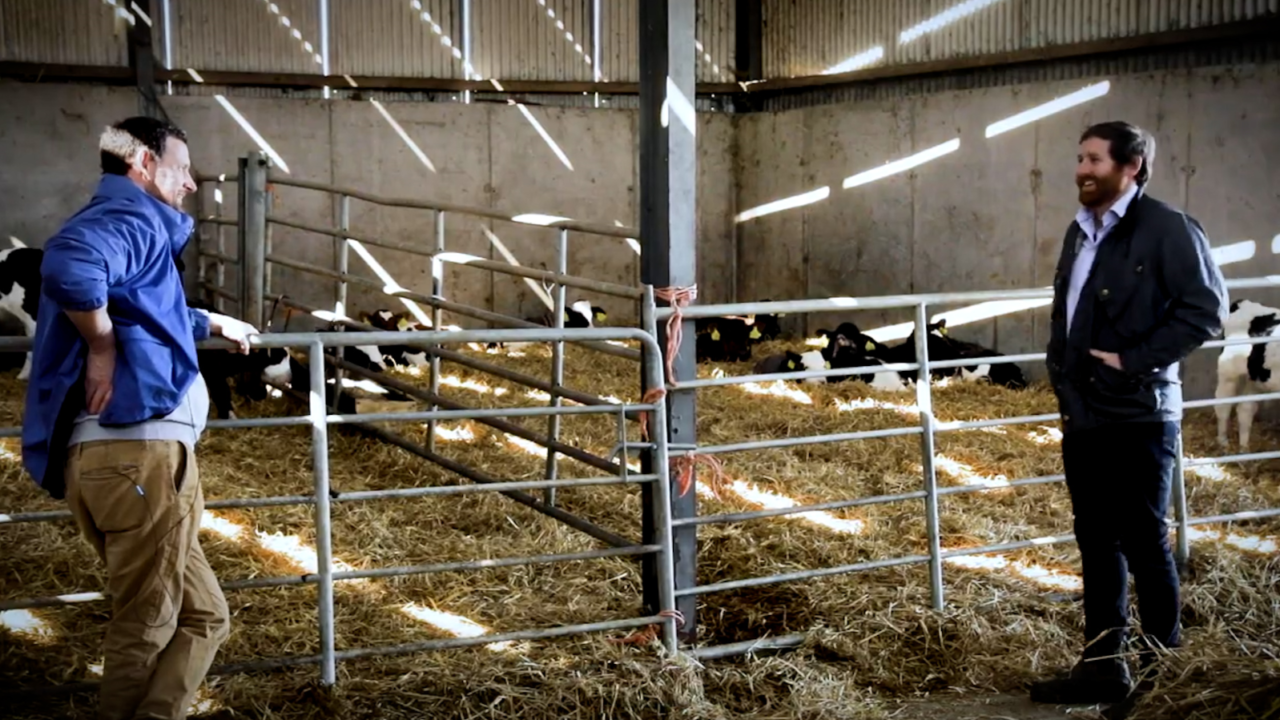 George goes dairy farming: From a Co. Louth dairy farm to the European ...