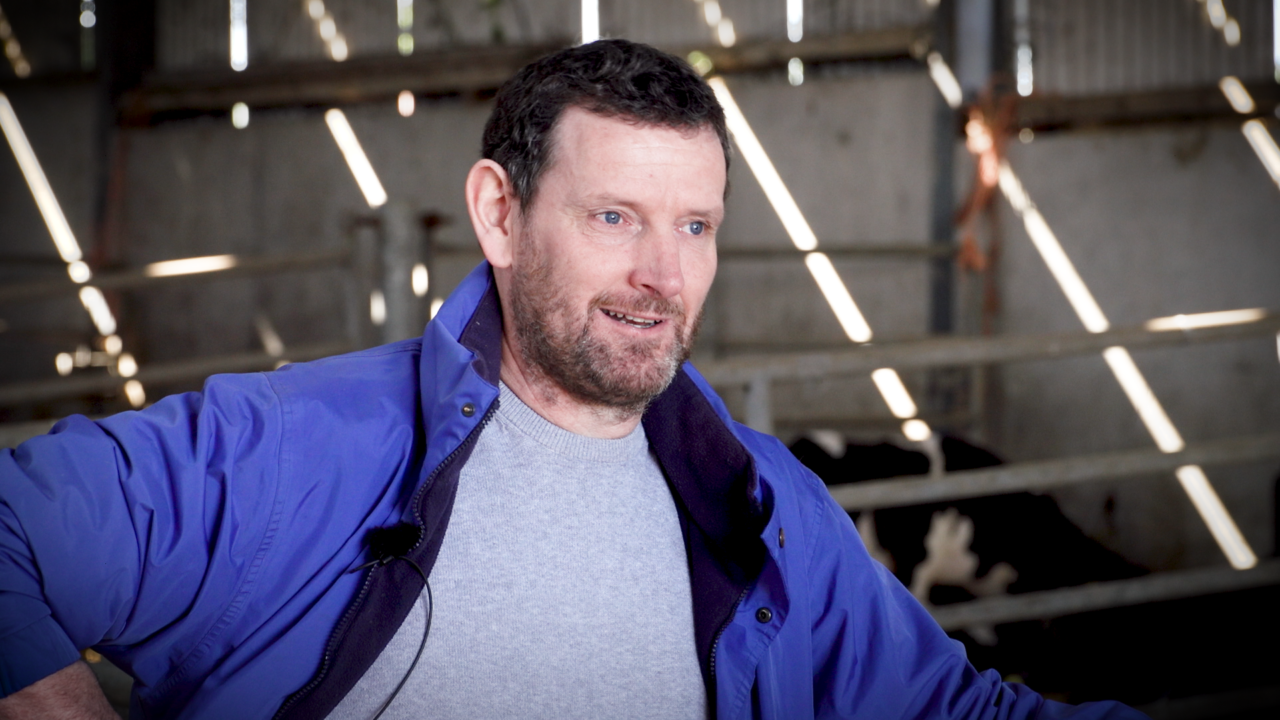 George goes dairy farming: From a Co. Louth dairy farm to the European ...