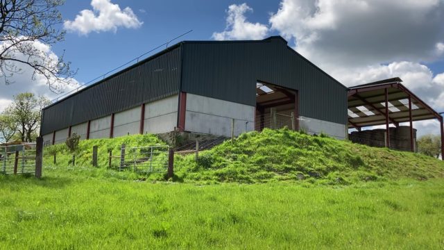 A grant-spec sheep shed for a 300-ewe flock in Co. Cavan