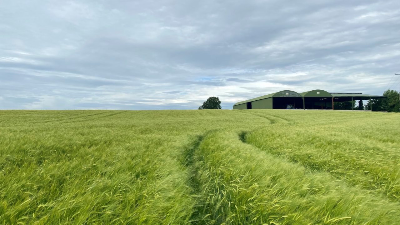 Athy land 'would make ideal out-farm' - Agriland.ie