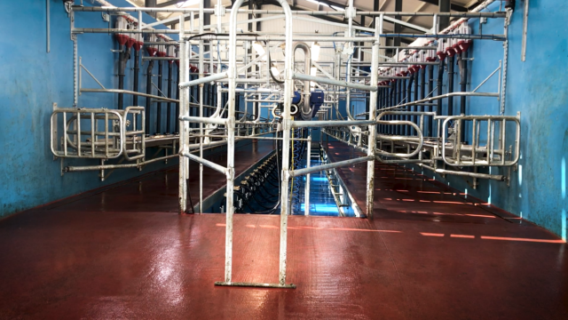 Dairy Focus: ‘It was a team effort to make the farm successful’
