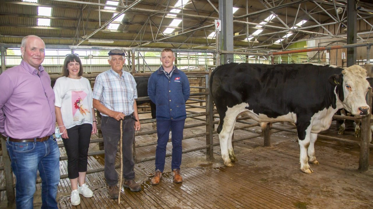 Bullock sale results in over €7,000 raised for cancer services