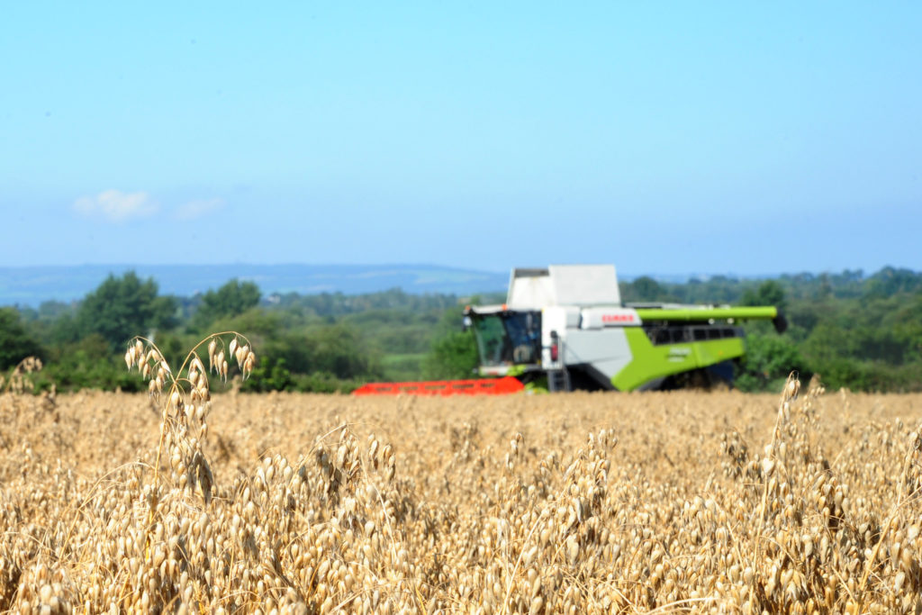 oat harvest with Claas