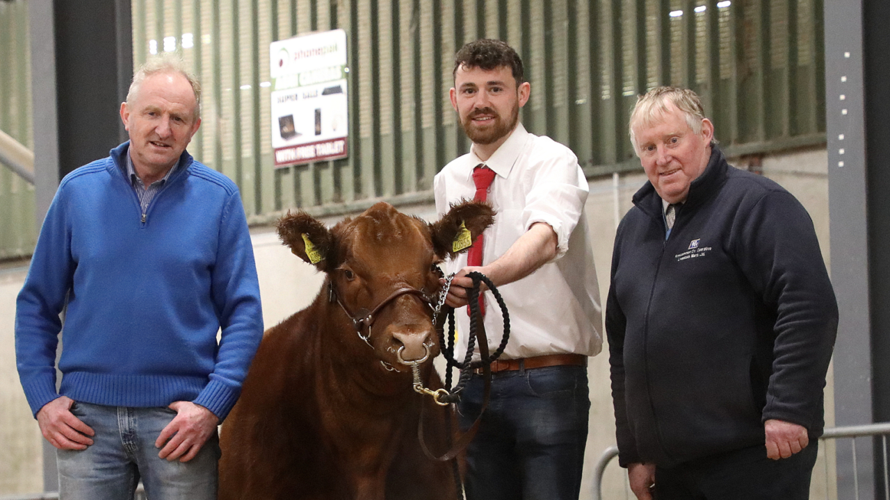 Irish Aberdeen Angus Association appoints new secretary
