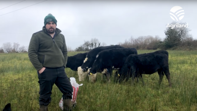 Beef Focus: Leitrim Macra chair's Drumkeerin suckler farm